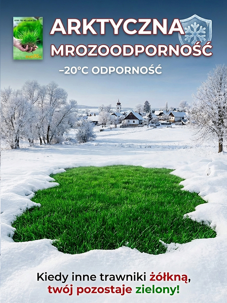 🔥🔥【Kiełkowalność 99%】Całoroczne mrozoodporne nasiona trawy na trawnik