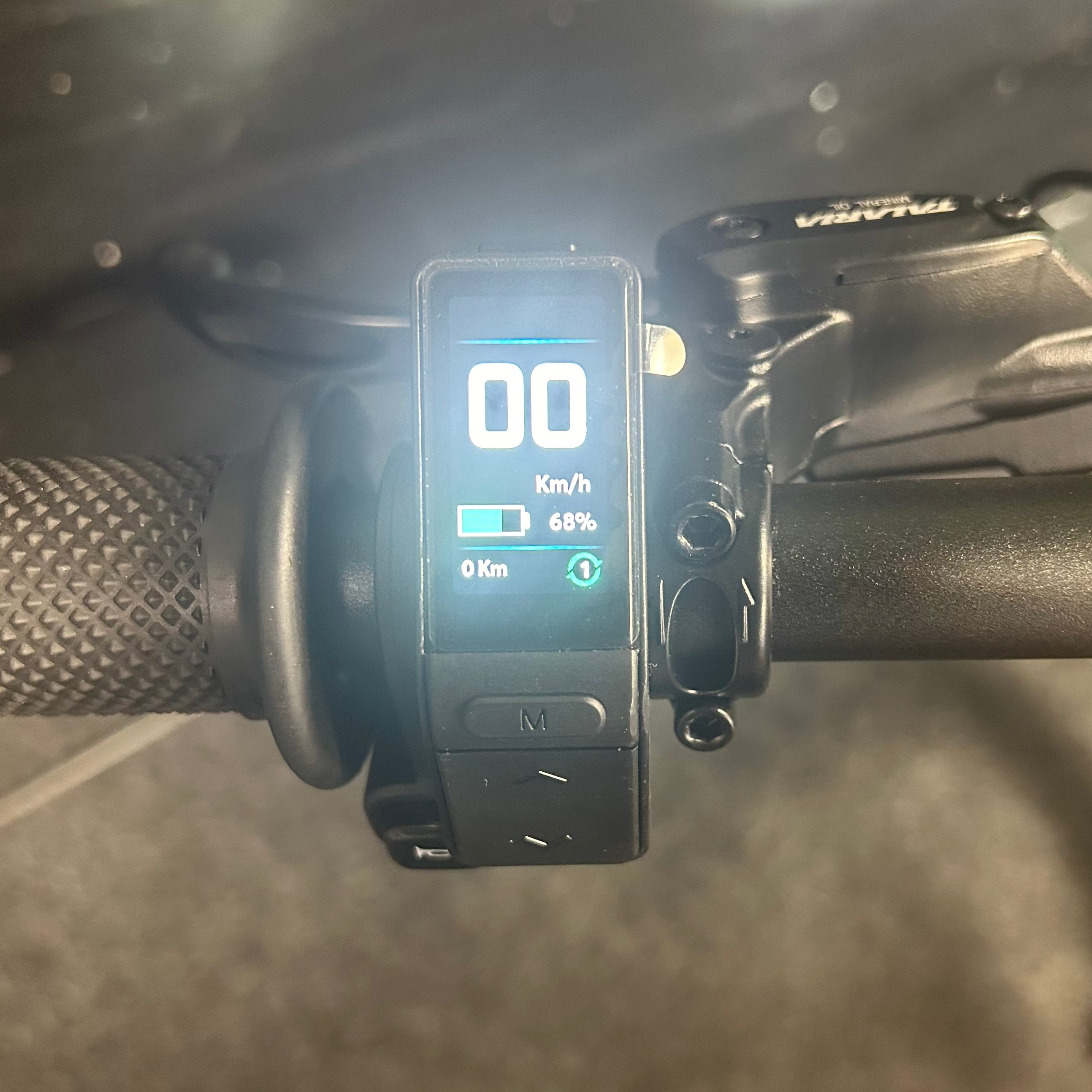 Talthtaria XXX PRO