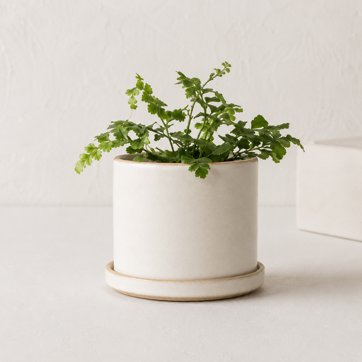 4" Minimal Planter | Stoneware