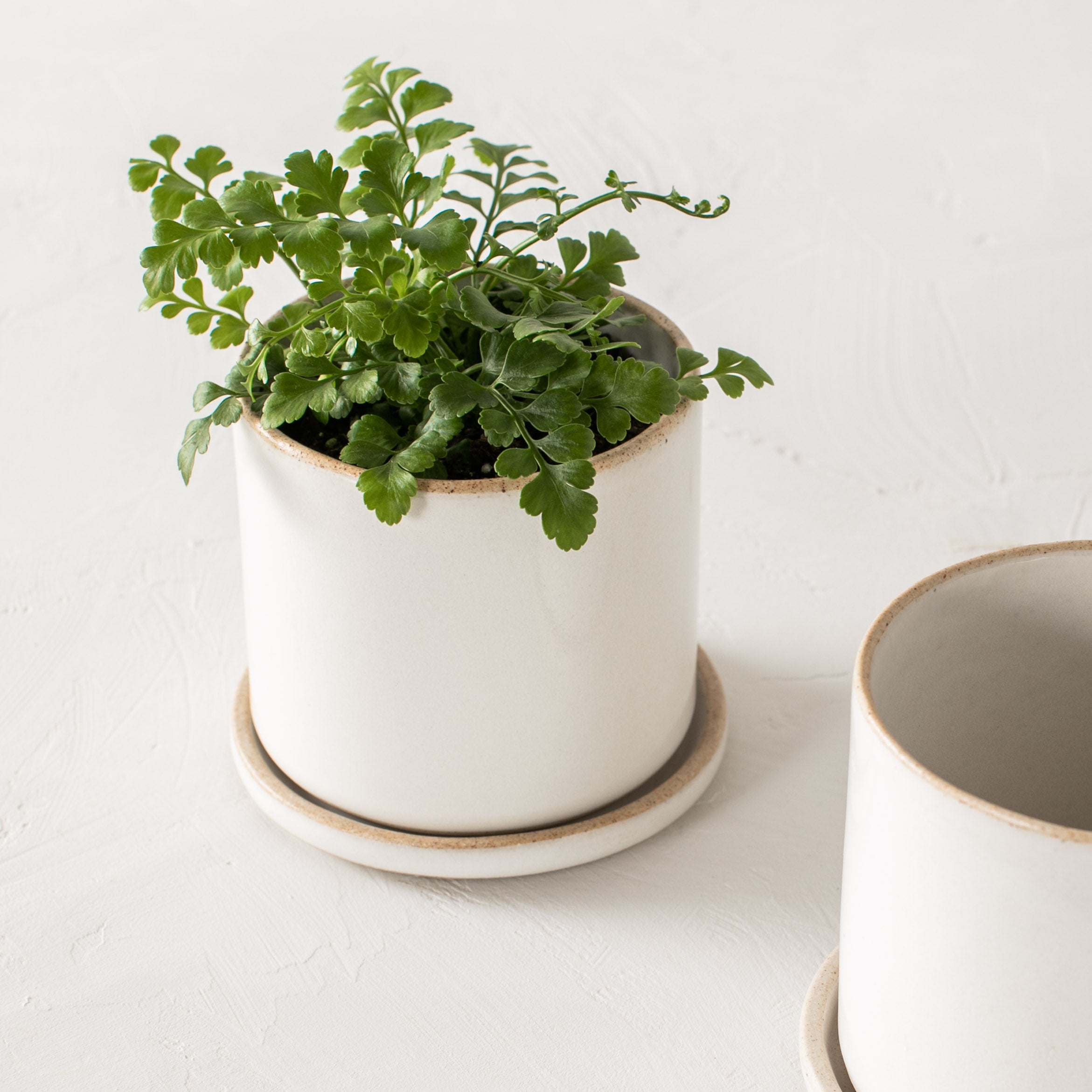 4" Minimal Planter | Stoneware image 4
