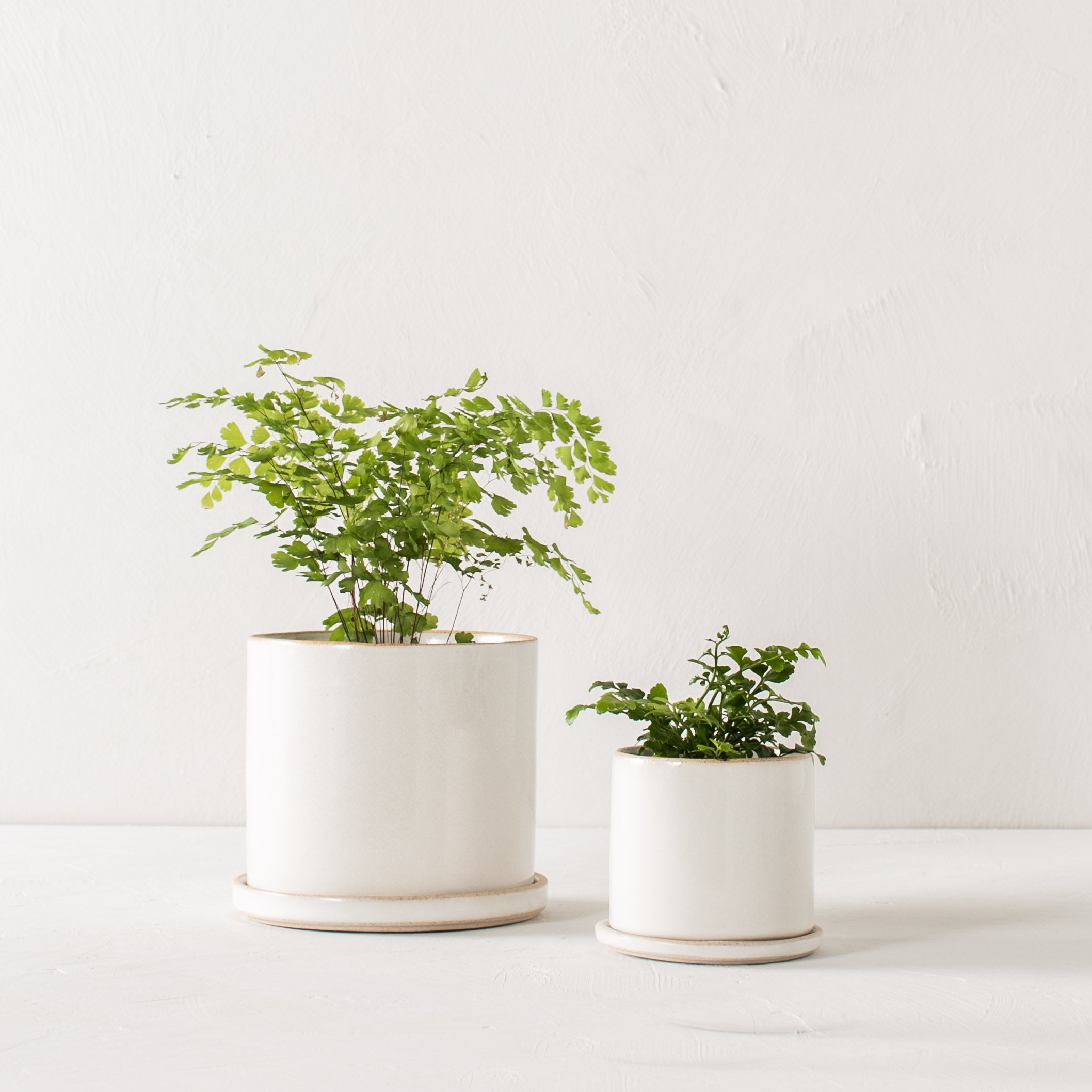 4" Minimal Planter | Stoneware image 3