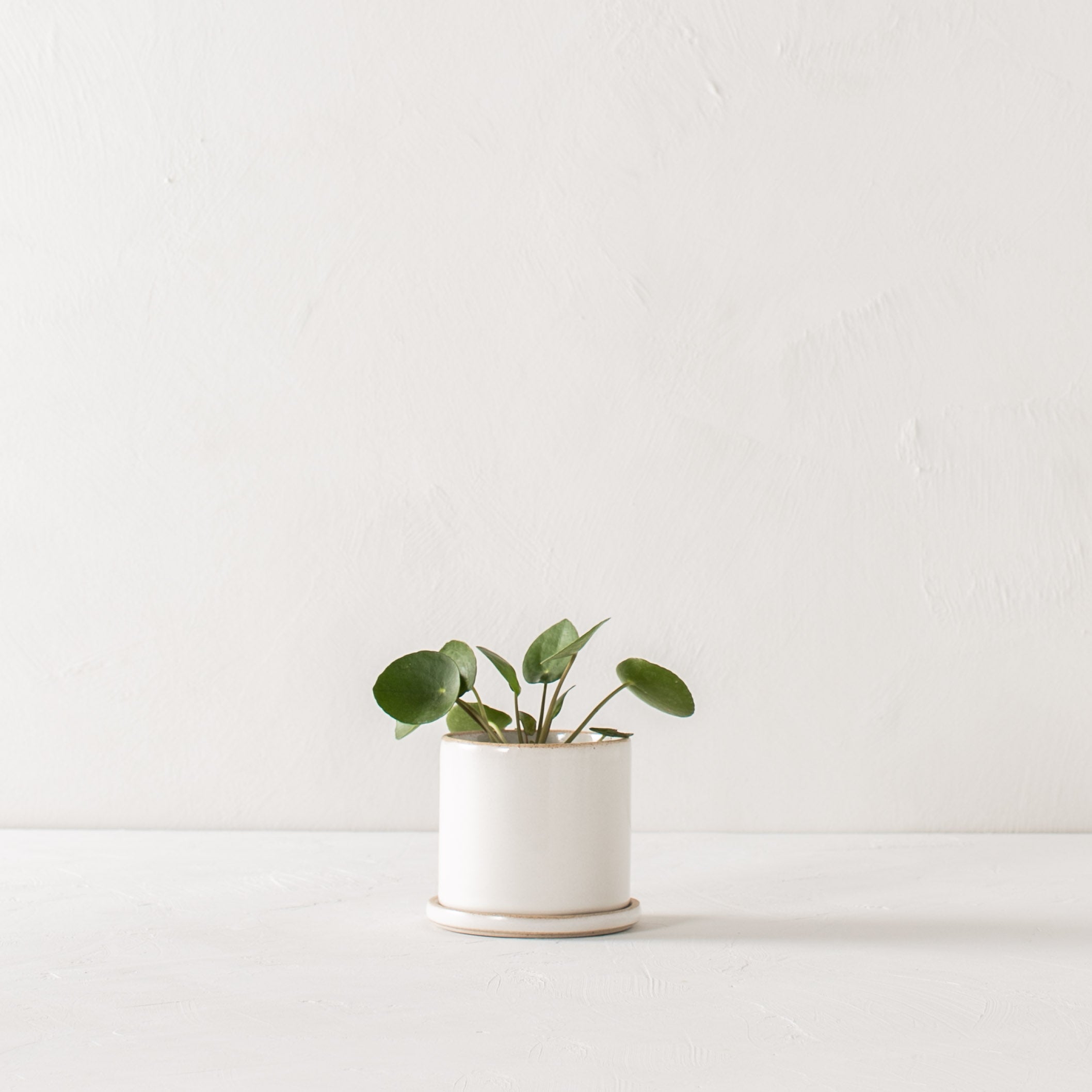 4" Minimal Planter | Stoneware image 1