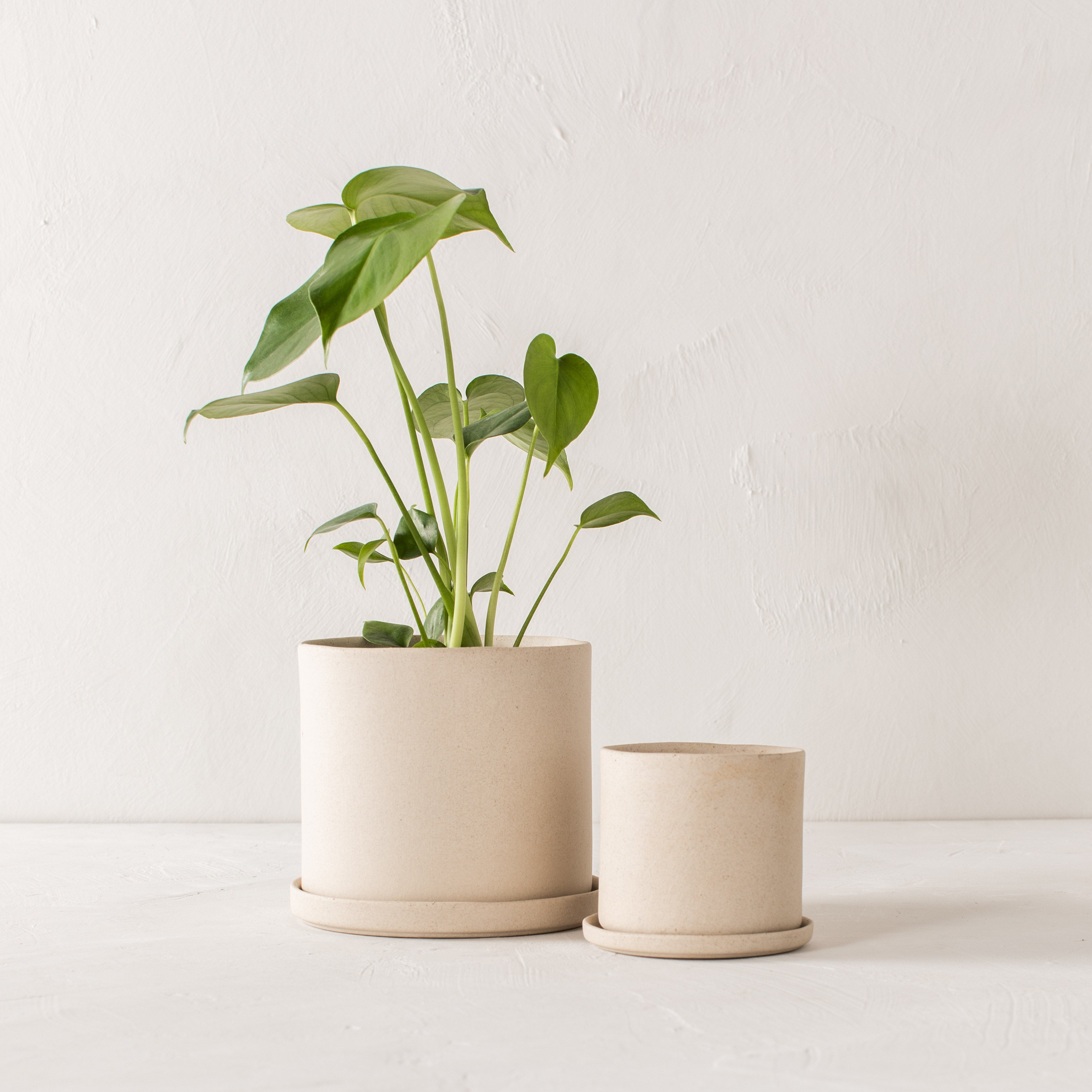 4" Minimal Planter | Raw Stoneware image 4