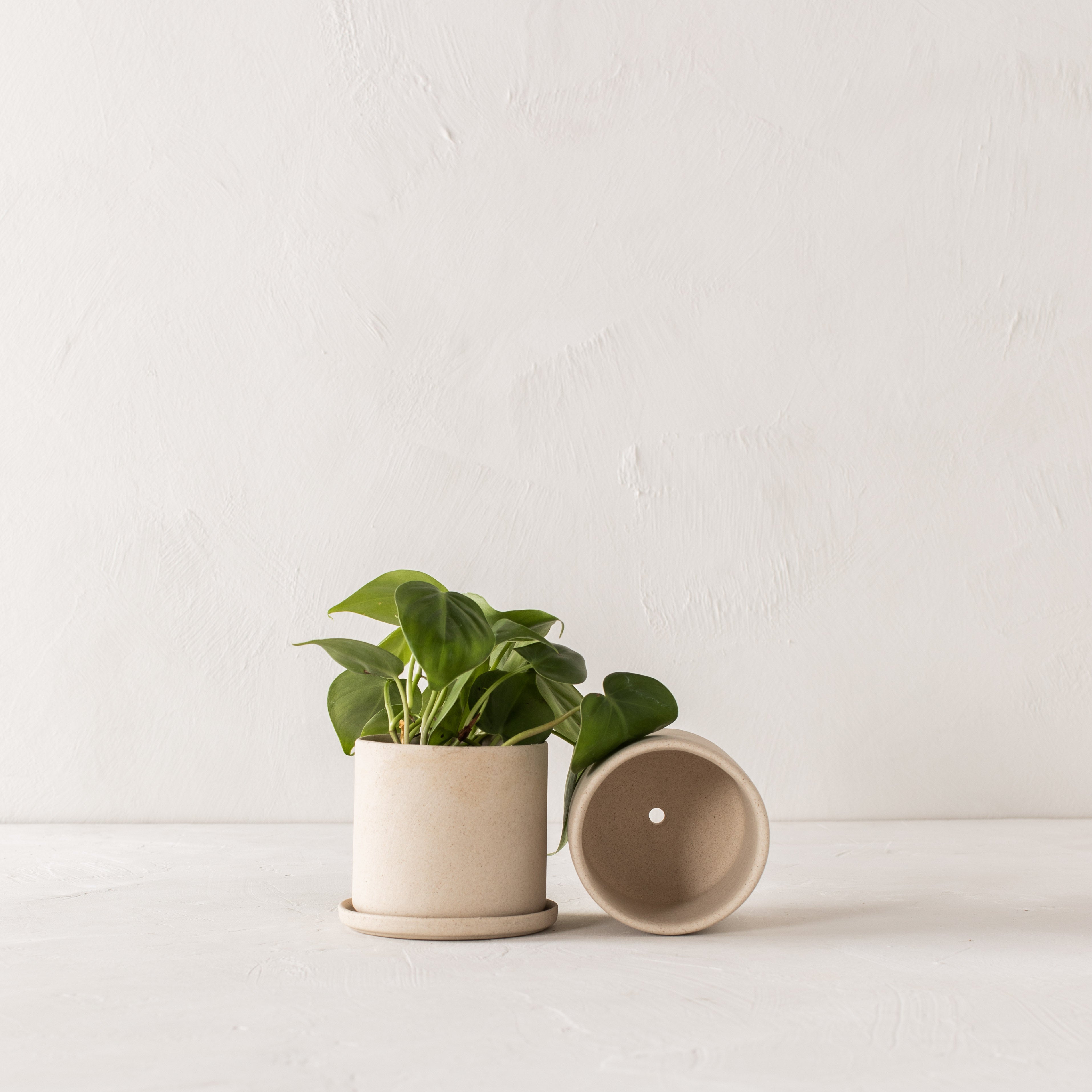 4" Minimal Planter | Raw Stoneware image 2