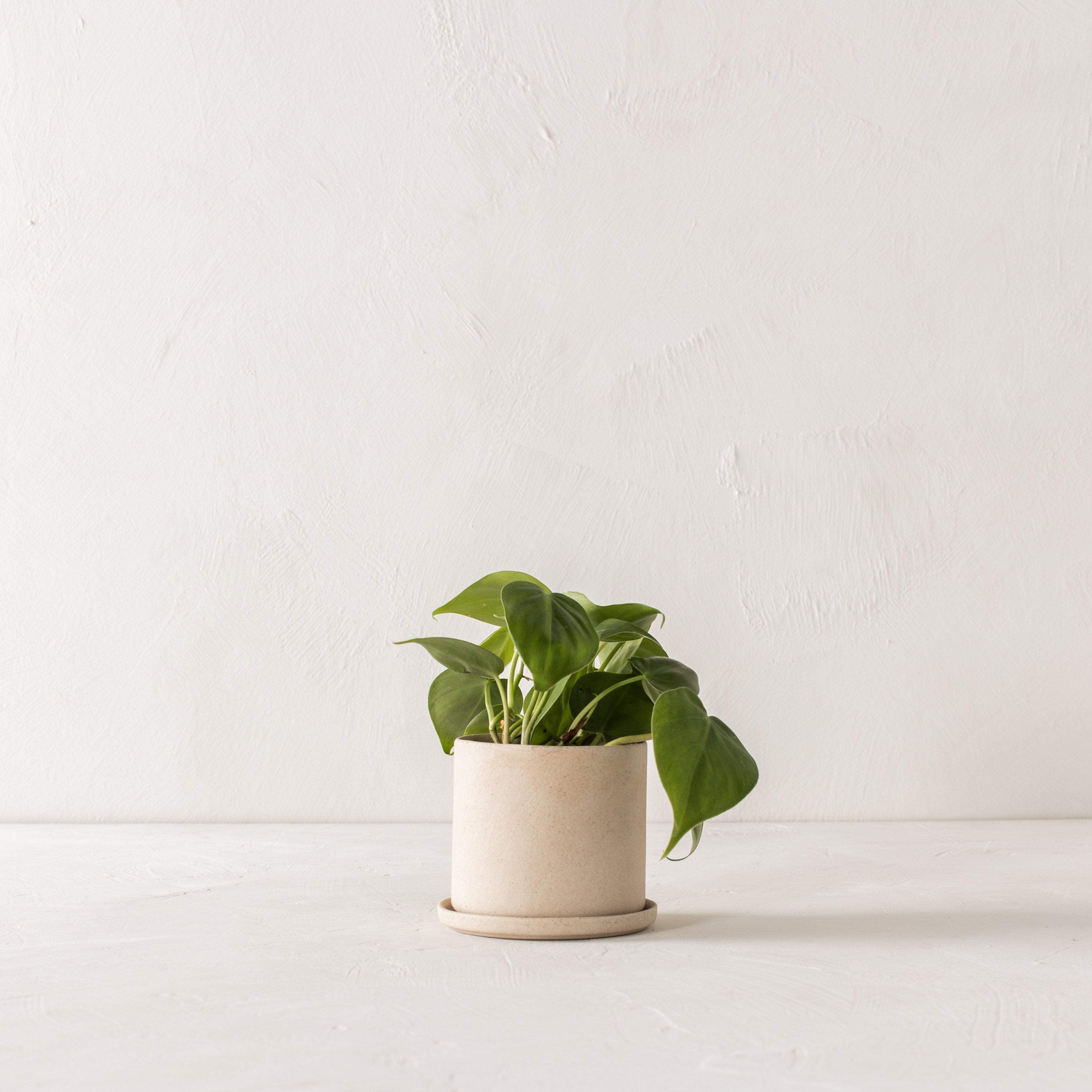 4" Minimal Planter | Raw Stoneware image 1