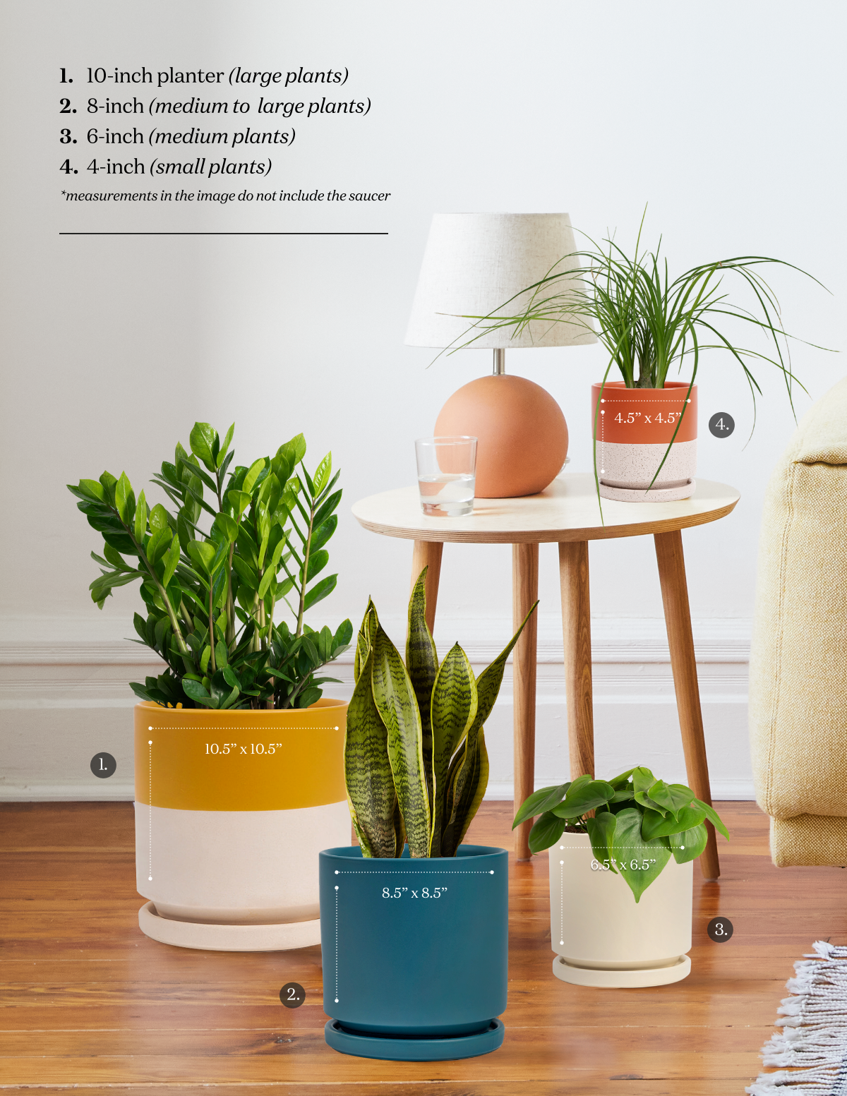 Vibrant Ceramic Planter with Saucer image 1
