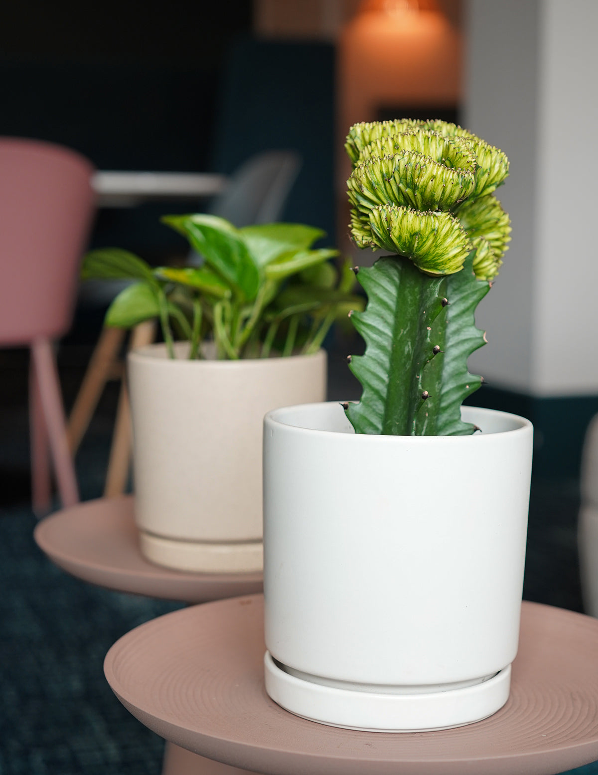 Vibrant Ceramic Planter with Saucer image 4