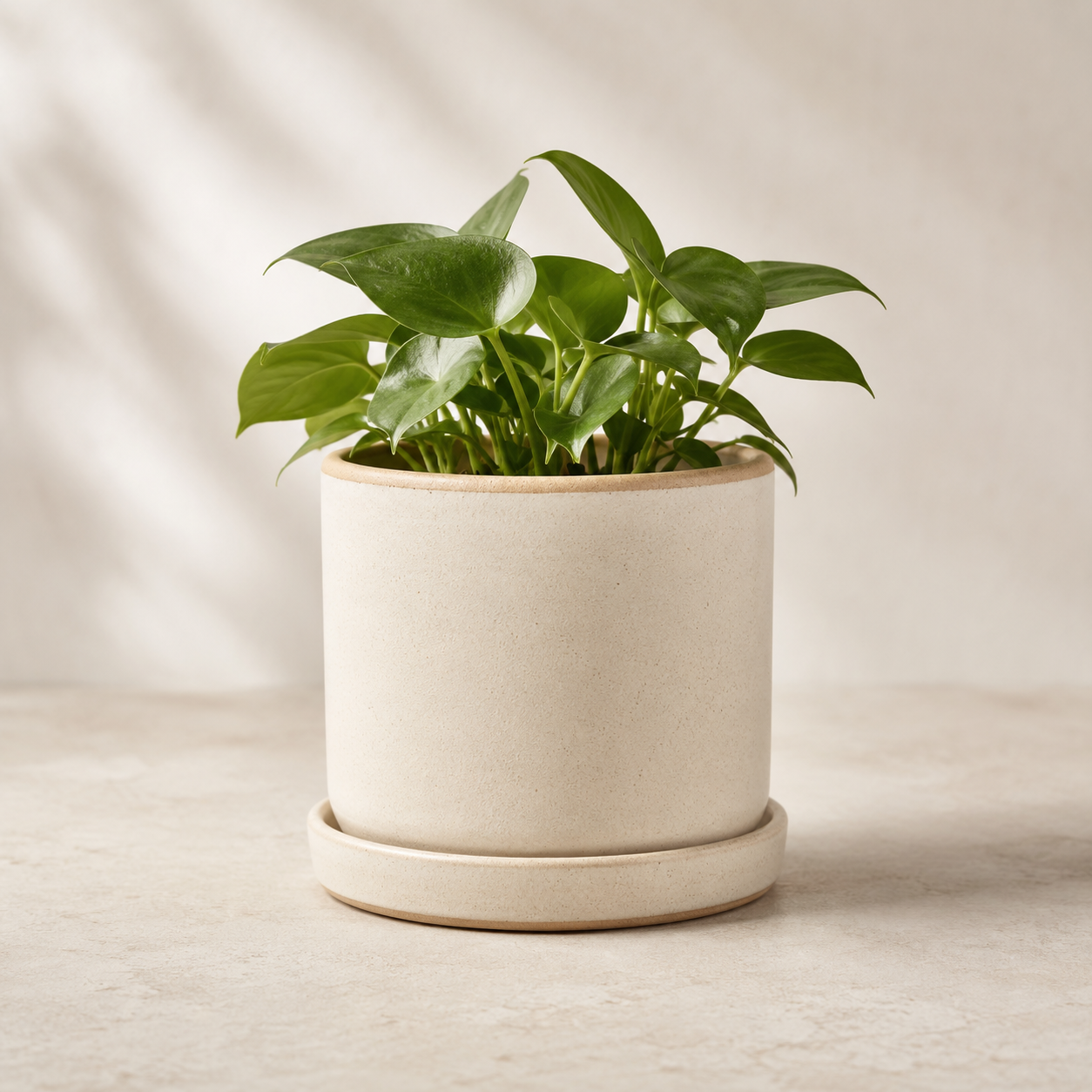 4" Minimal Planter | Stoneware