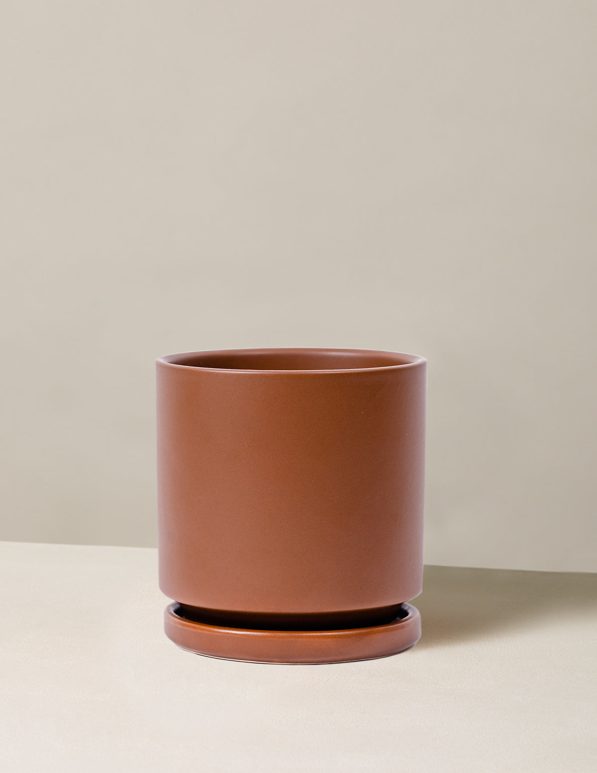 Vibrant Ceramic Planter with Saucer image 16