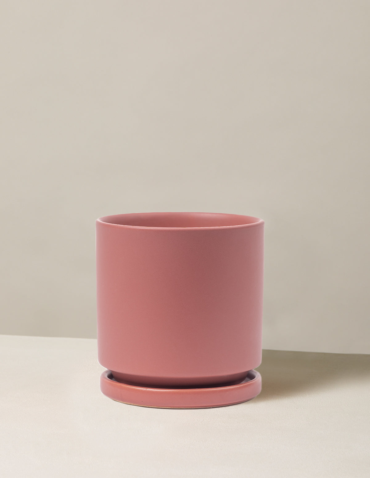 Vibrant Ceramic Planter with Saucer image 17