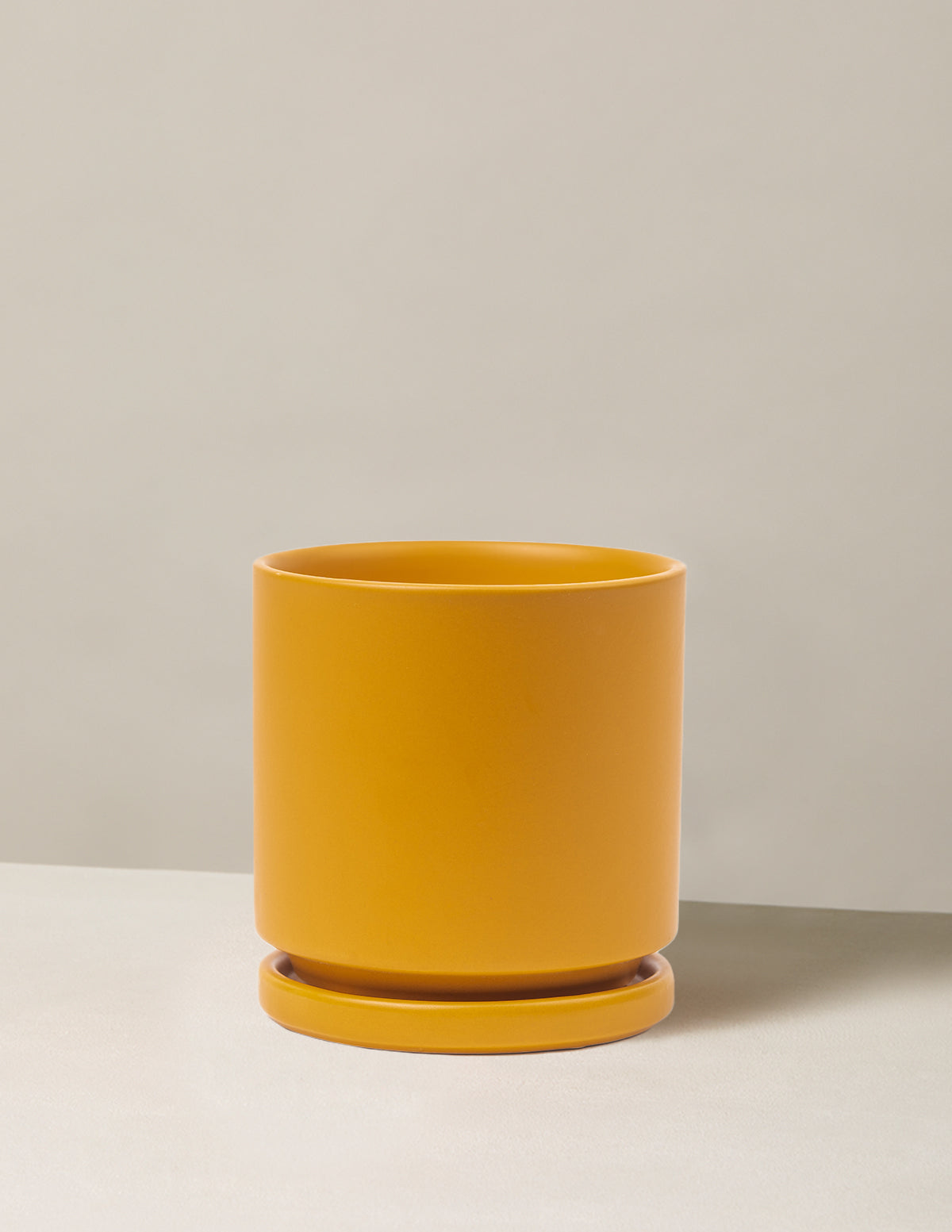 Vibrant Ceramic Planter with Saucer image 21