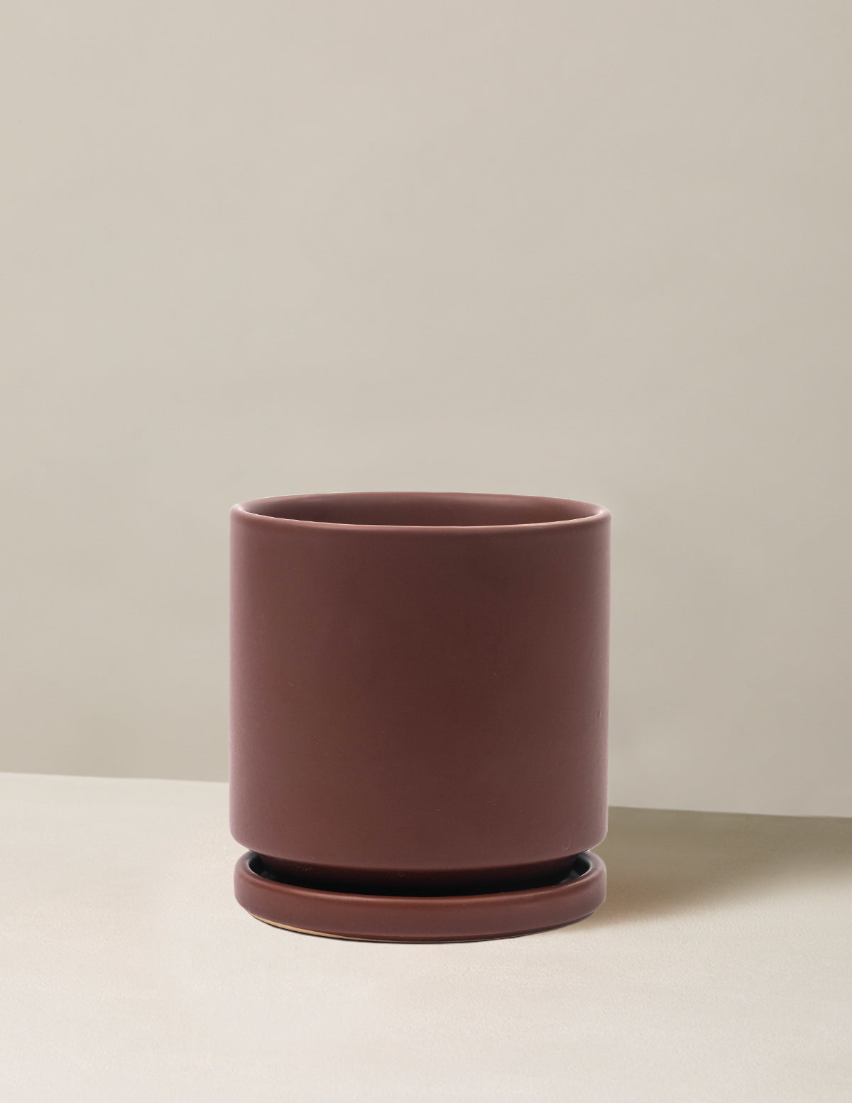 Vibrant Ceramic Planter with Saucer image 22