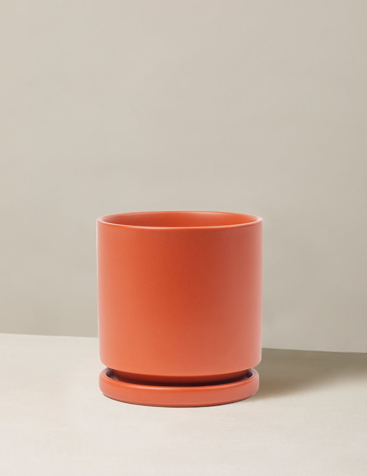 Vibrant Ceramic Planter with Saucer image 24