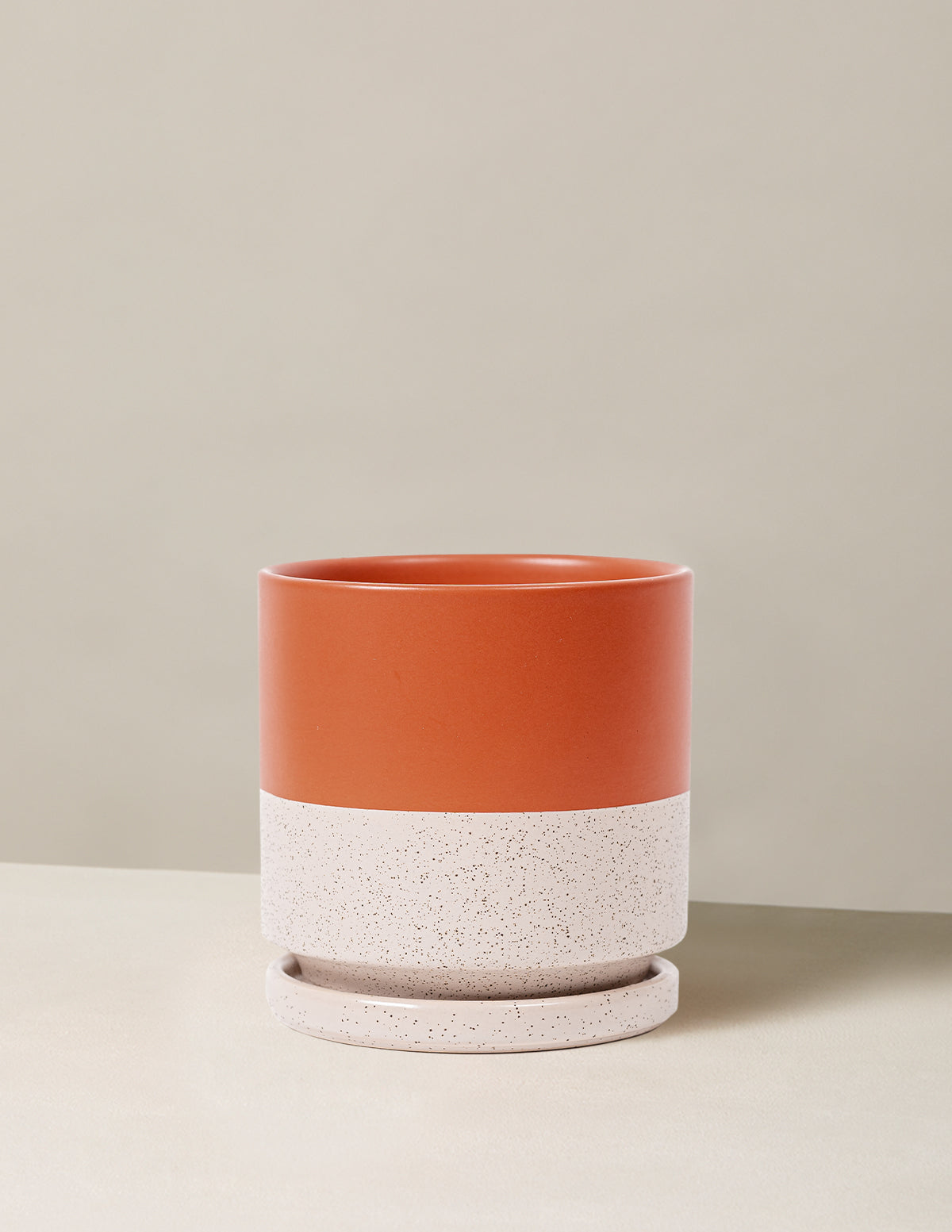 Vibrant Ceramic Planter with Saucer image 30