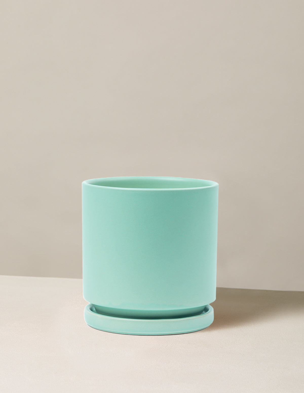Vibrant Ceramic Planter with Saucer image 25