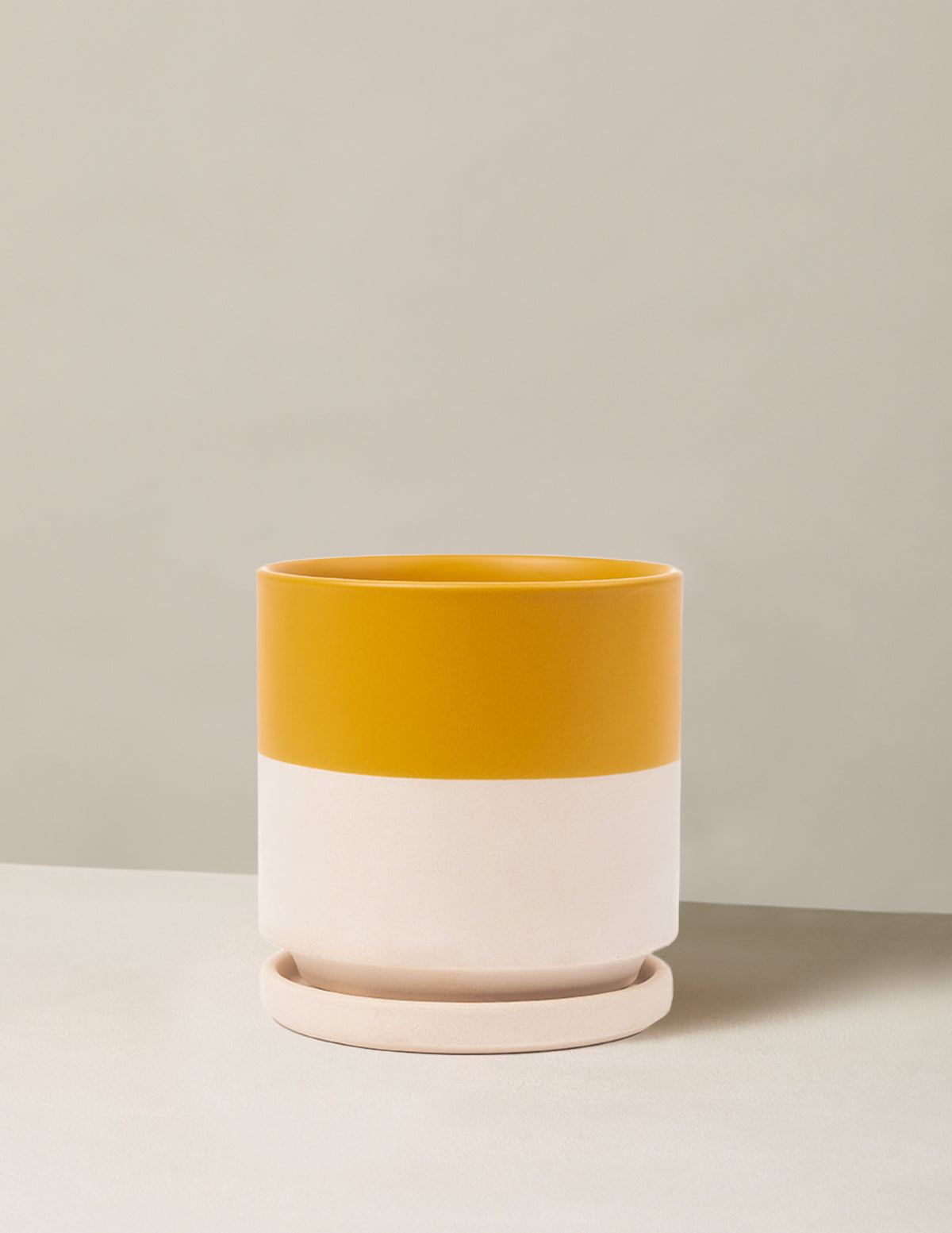 Vibrant Ceramic Planter with Saucer image 11