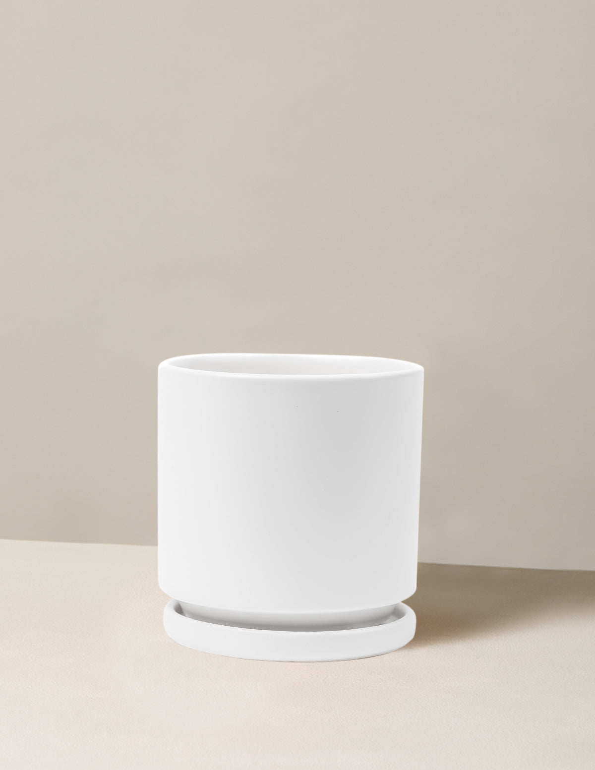 Vibrant Ceramic Planter with Saucer image 13
