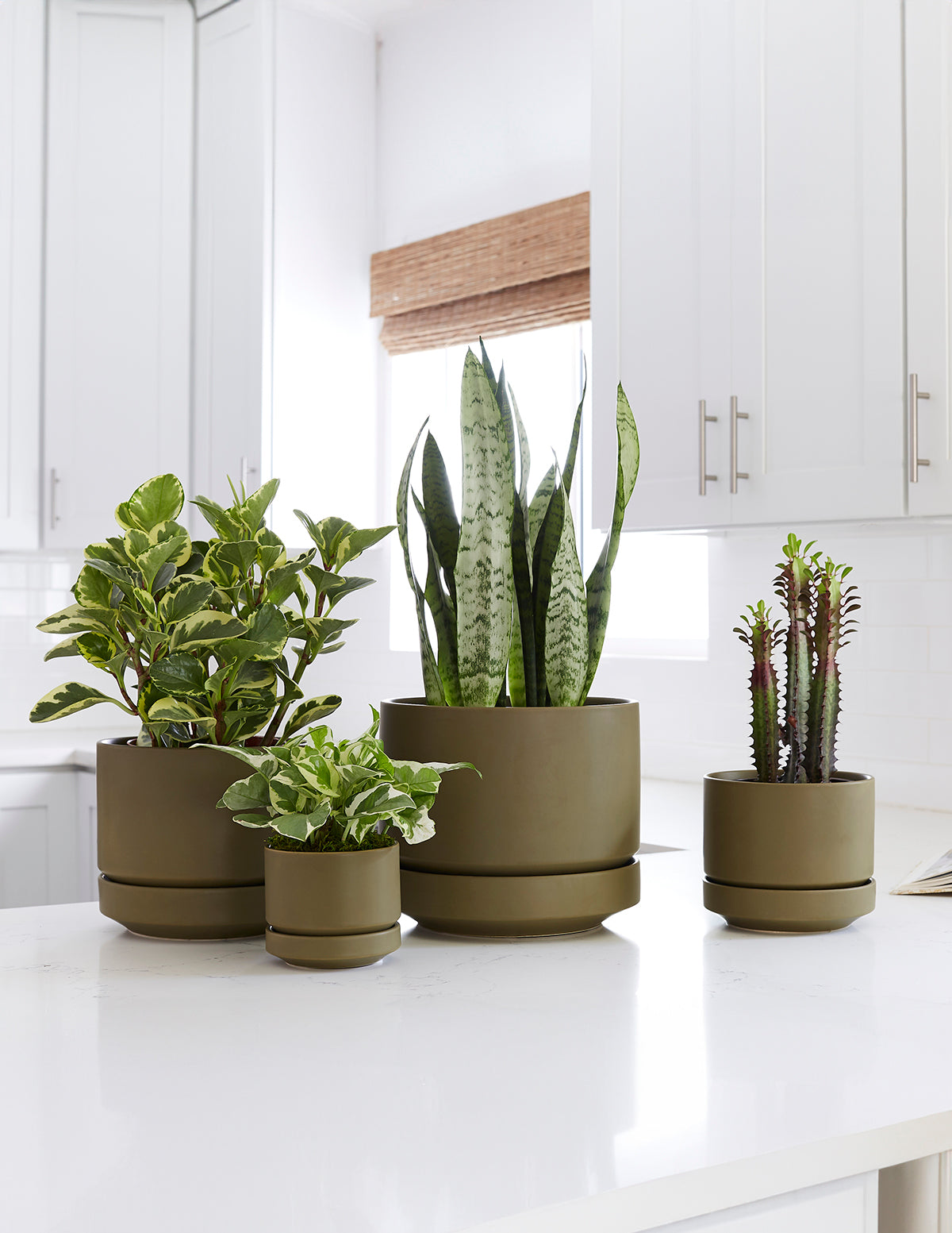 Modern Round Ceramic Planter Set