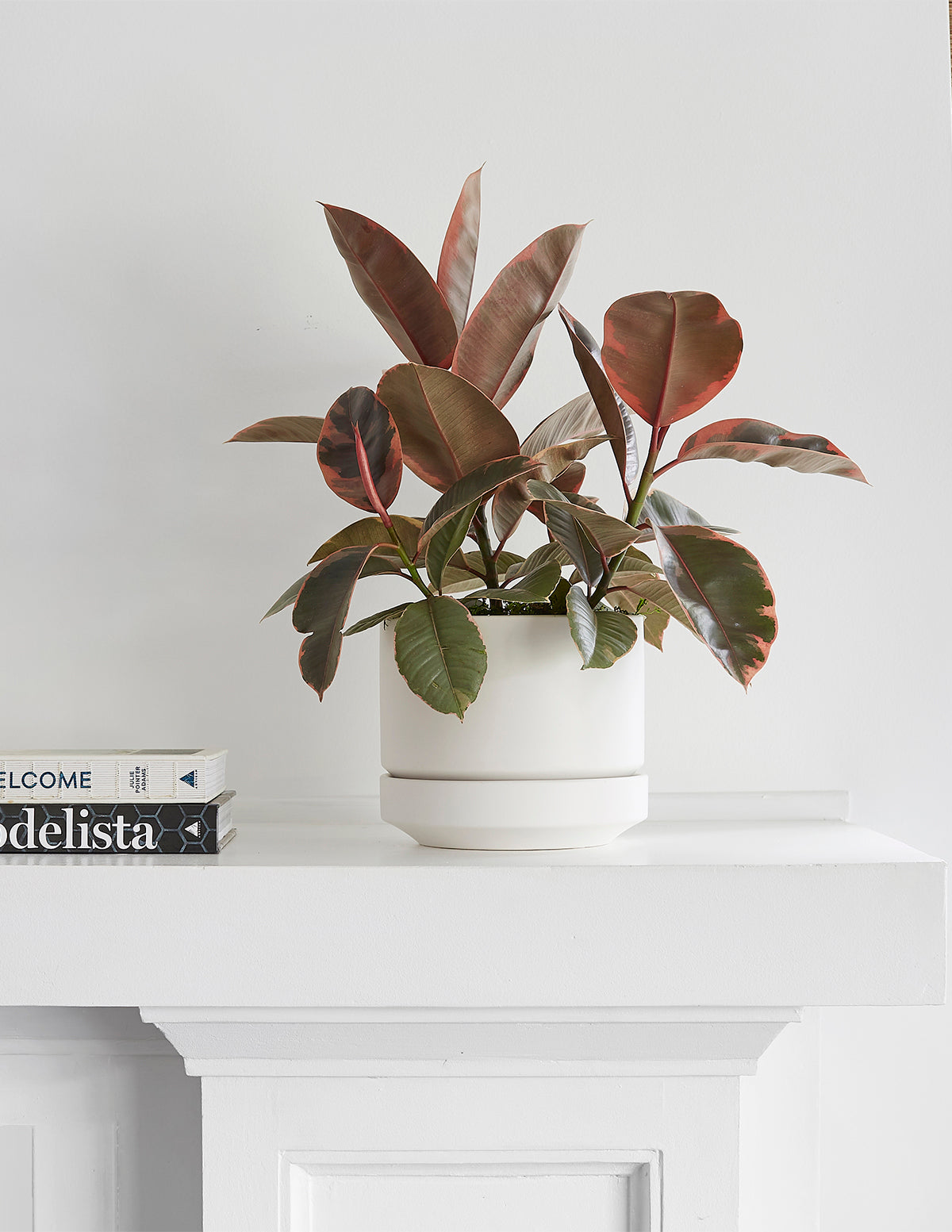 Modern Round Ceramic Planter Set