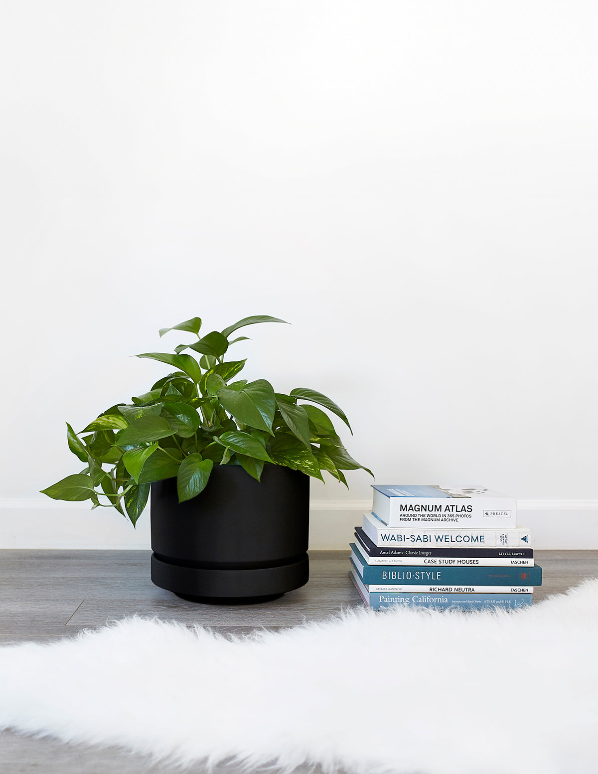 Modern Round Ceramic Planter Set