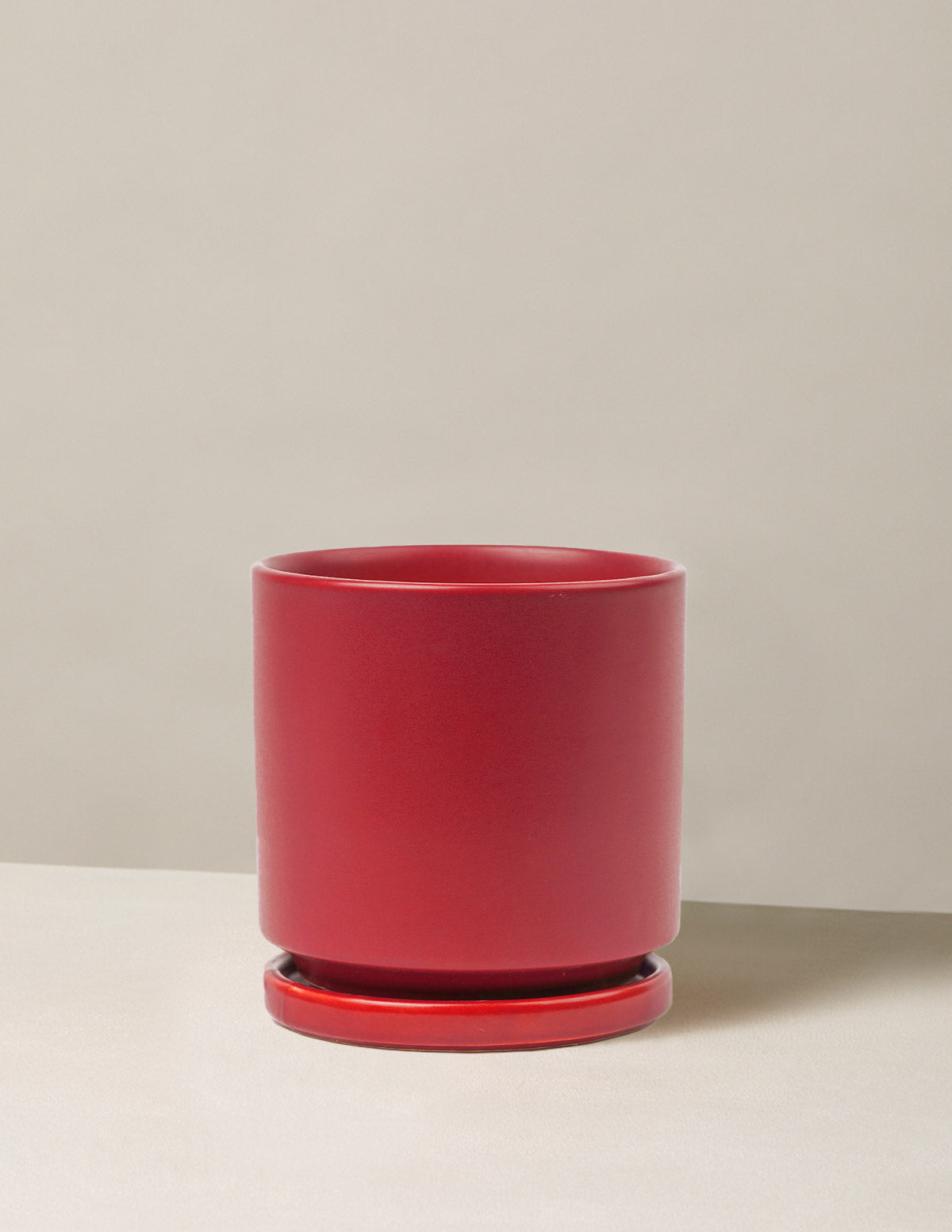 Vibrant Ceramic Planter with Saucer image 7