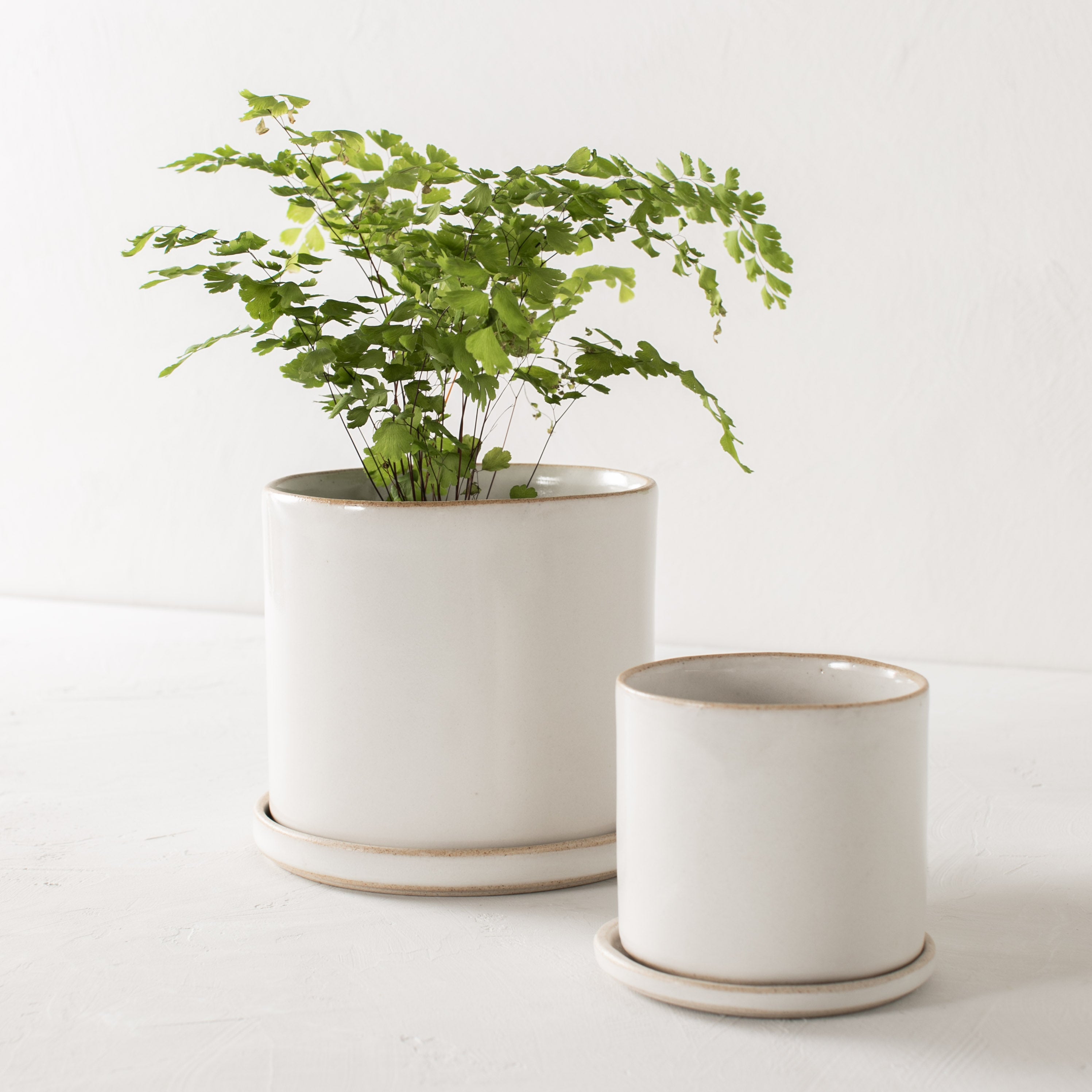 6" Minimal Planter | Stoneware image 4