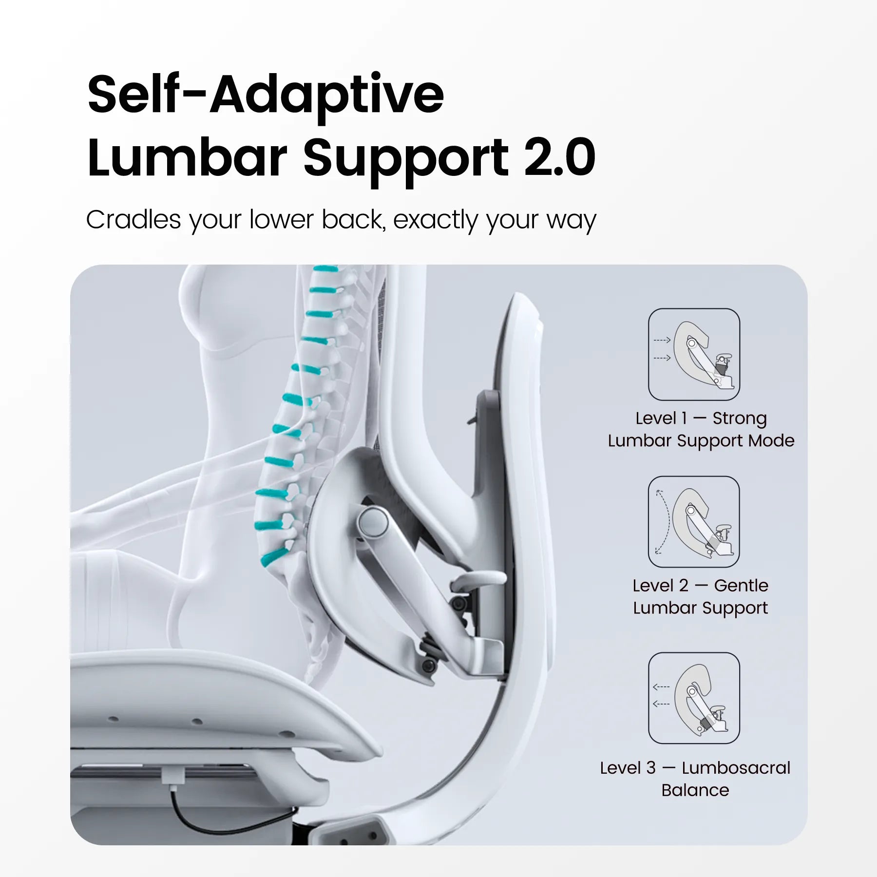 Full Body Adaptive Ergonomic Office Chair with 8D Adjustable Armrests and Dynamic Lumbar Support