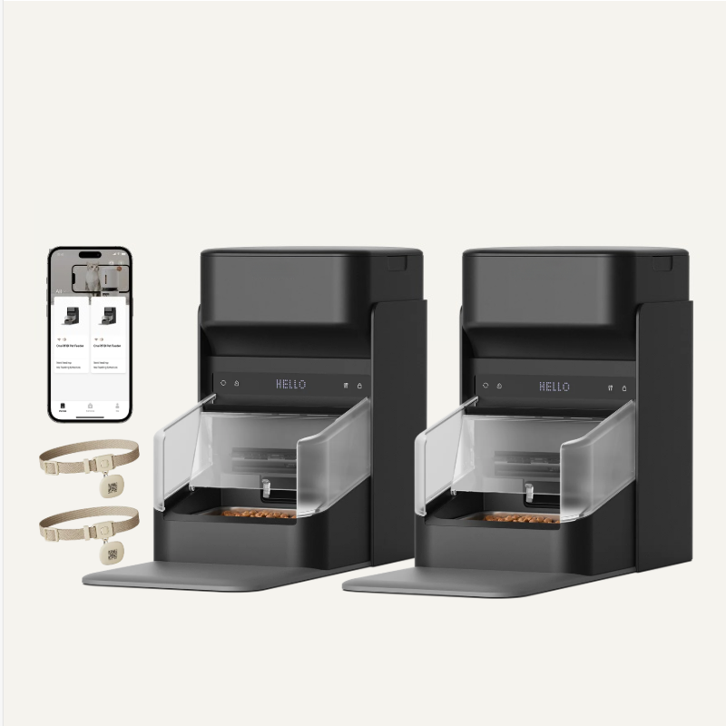 Smart Pet Feeder