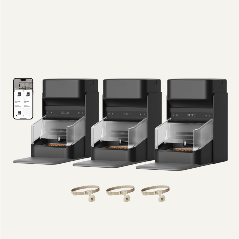 Smart Pet Feeder