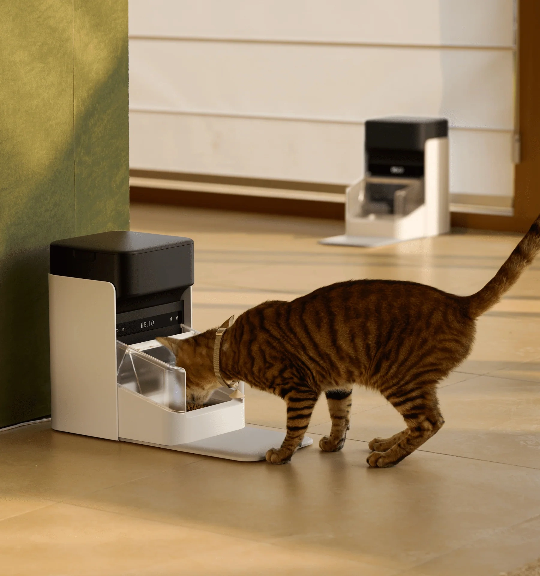 Smart Pet Feeder