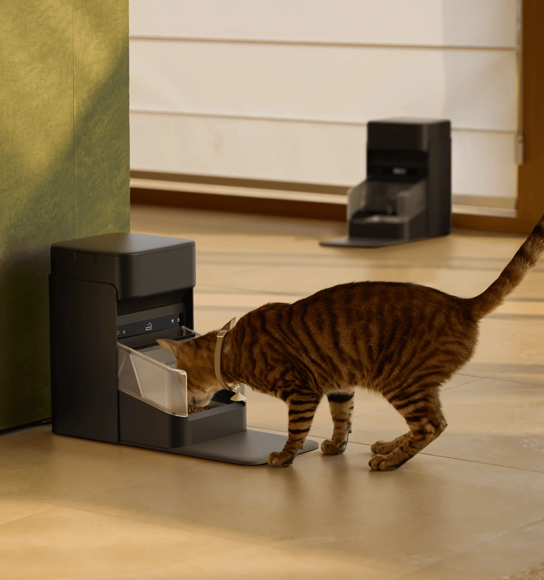 Smart Pet Feeder