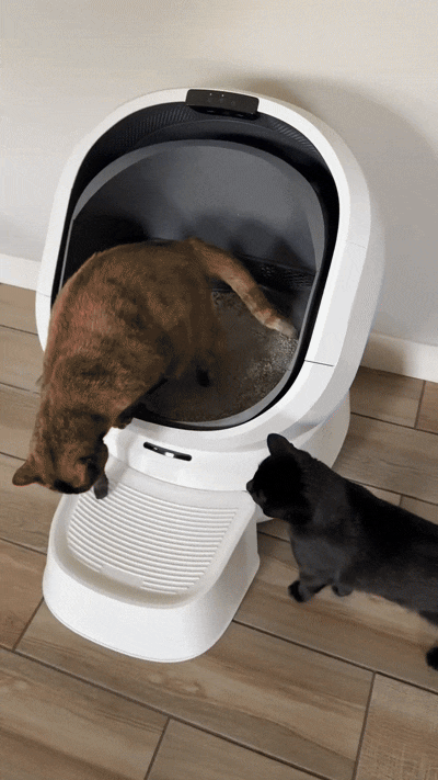 Smart Self-Cleaning Litter Box – AI Camera & Auto Odor Control