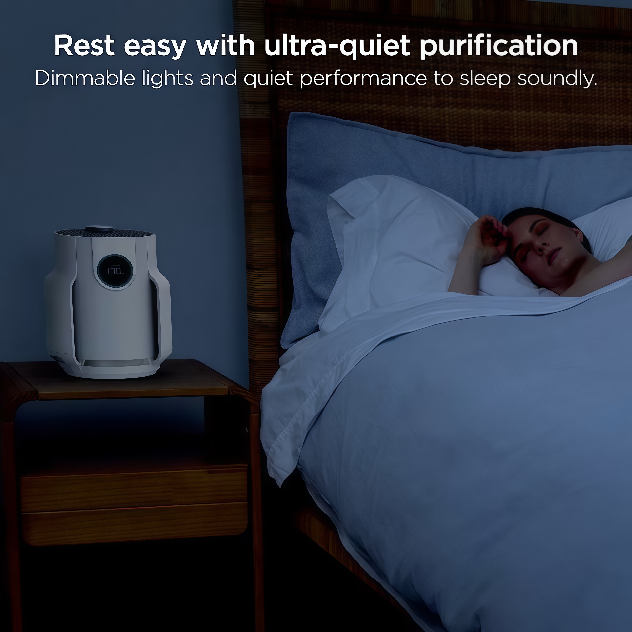 Air Purifier, Activated carbon purification