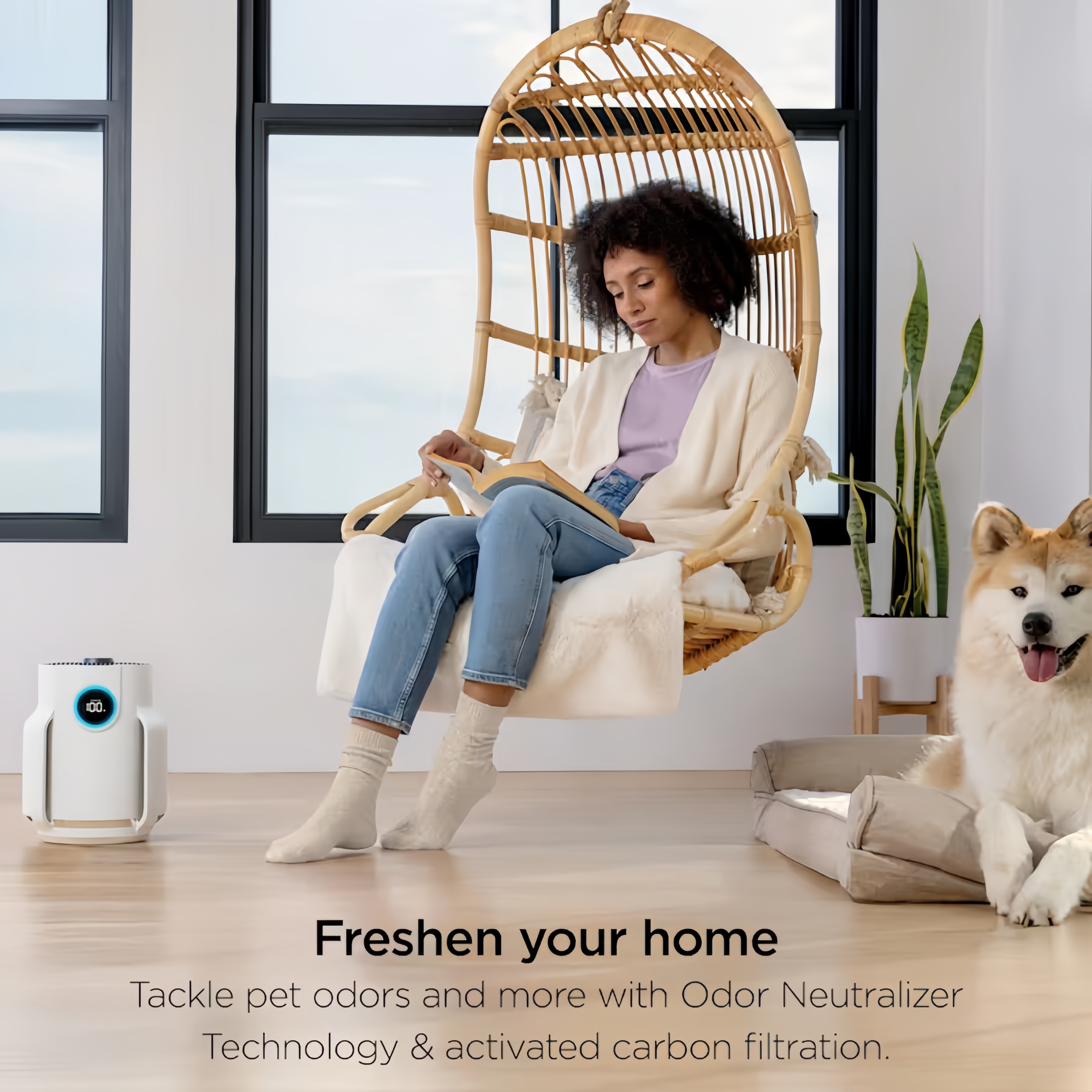 Air Purifier, Activated carbon purification