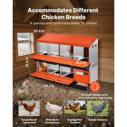 Nidos para Gallinas de Acero de 8 Compartimentos