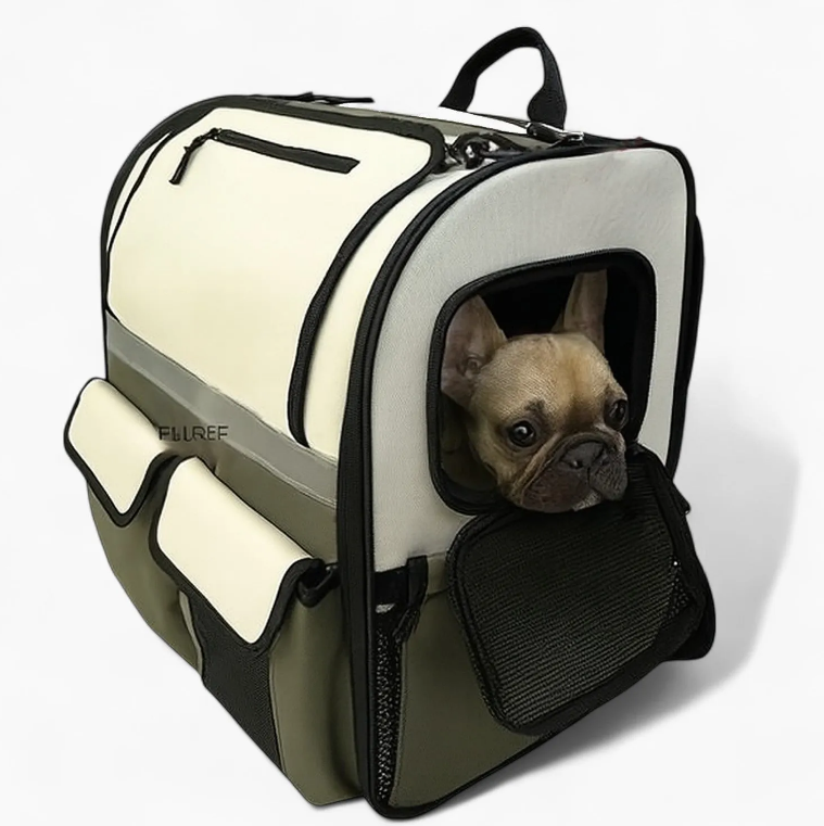 Frenbag French Bulldog Daypack Backpack