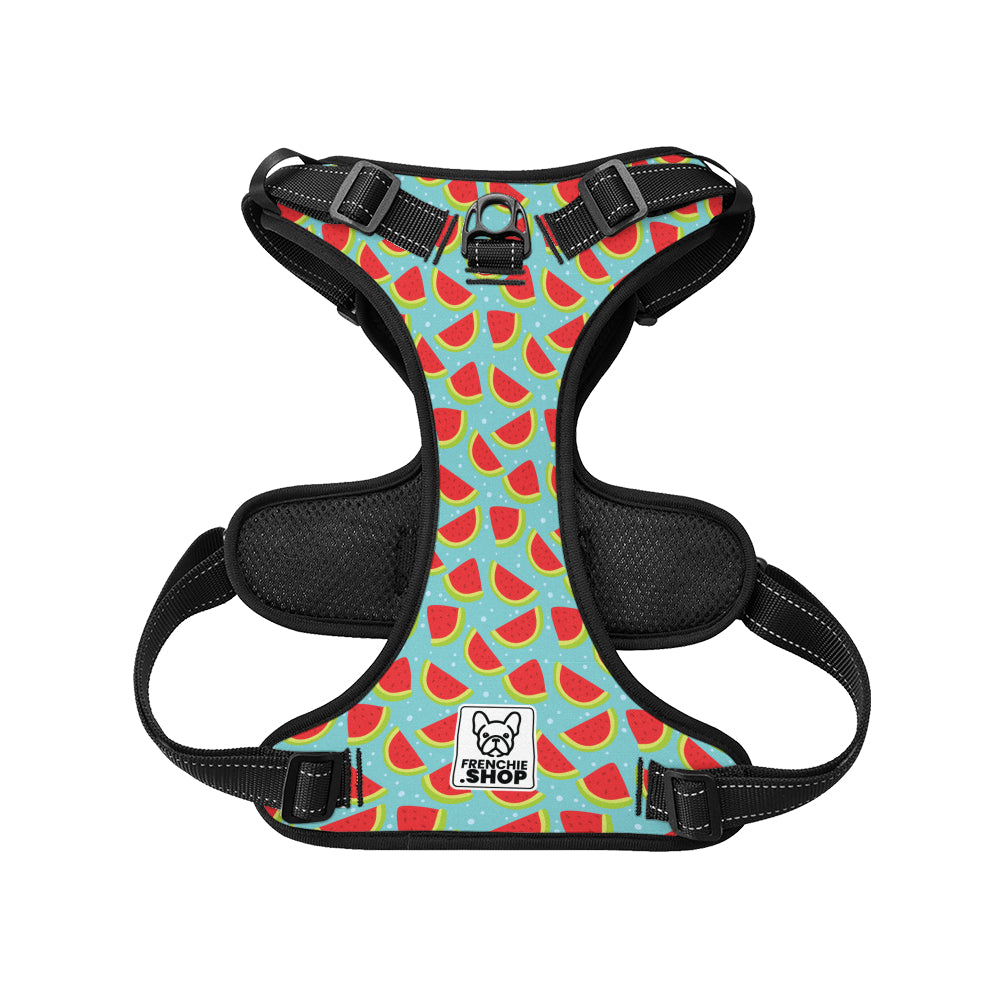 Louis French Bulldog Walking Harness for Short-Nosed Dogs-fadou