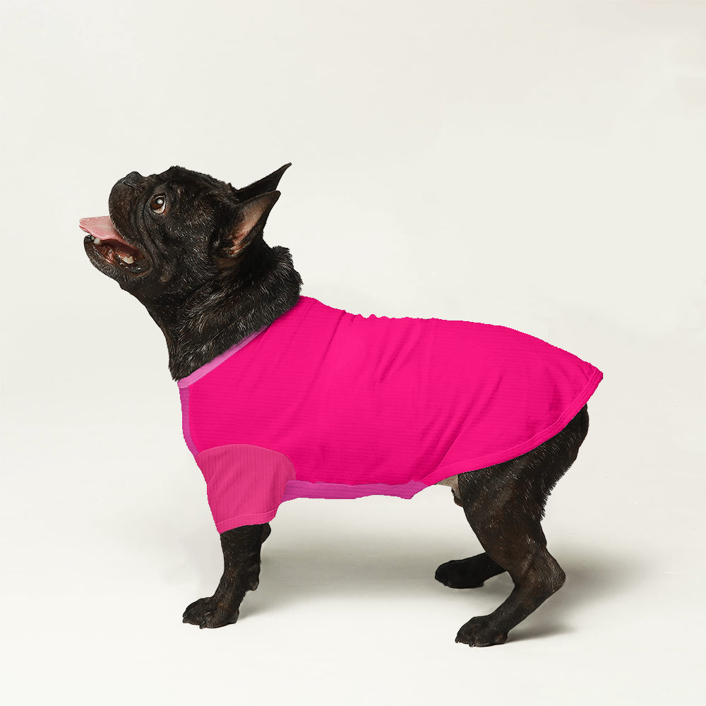 Sonny French Bulldog Pet Sweater for Outdoor Adventures-fadou