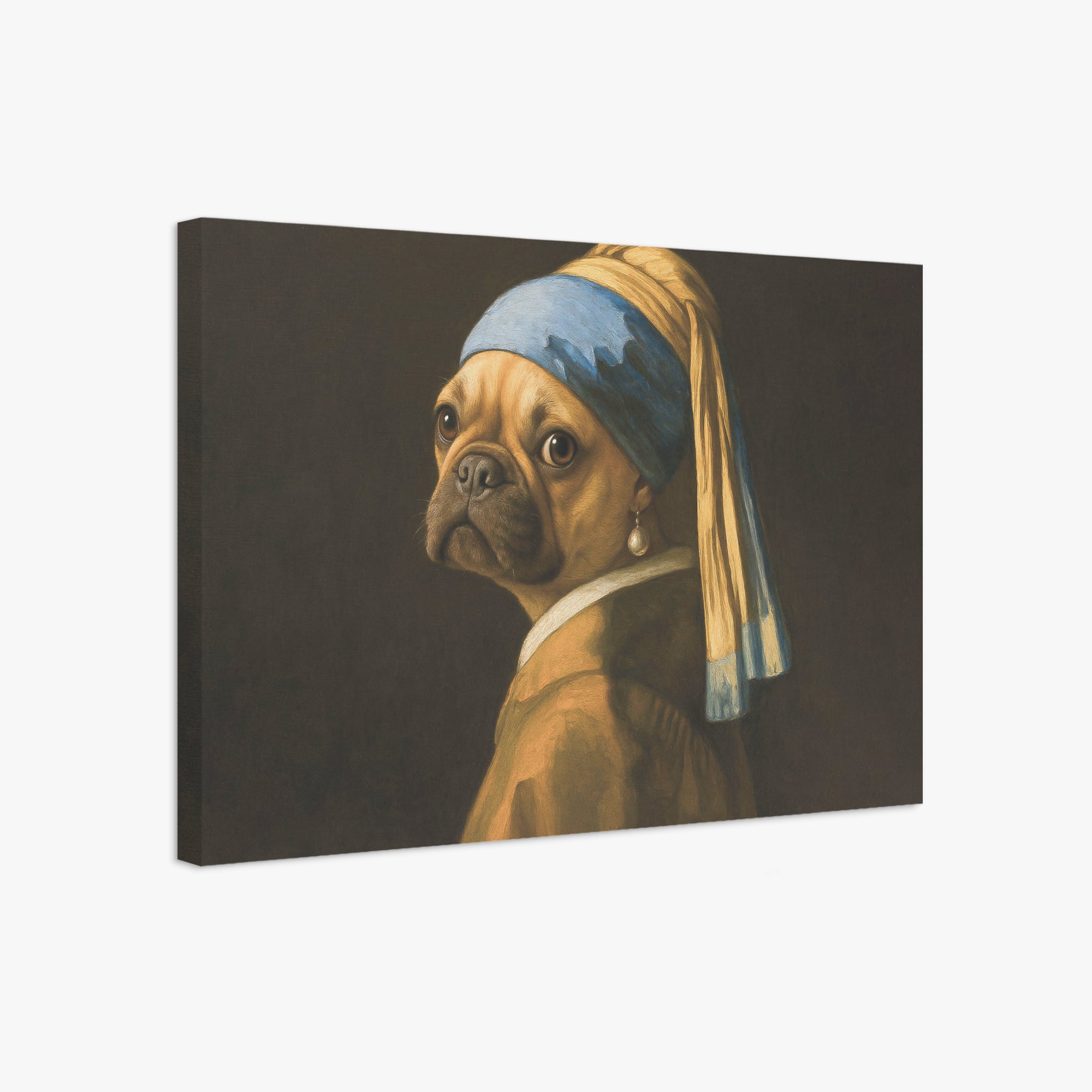 French Bulldog Adorable Decorative Canvas for Everyday Wear-fadou
