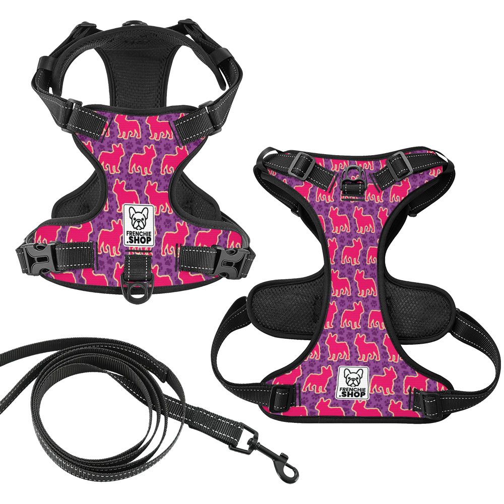 Mansel French Bulldog Chest Harness for Training Sessions-fadou
