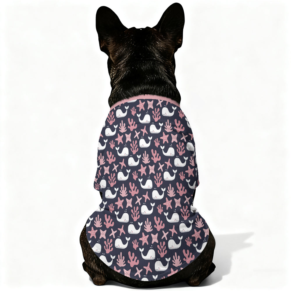 Covi French Bulldog Warm Knitwear for Training Sessions-fadou