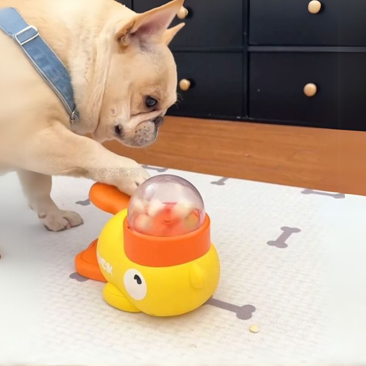 French Bulldog Slow Feeder Feeding Bowl for Travel Comfort-fadou