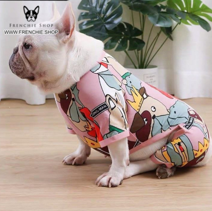 French Bulldog Summer Summer Dress for Outdoor Adventures-fadou