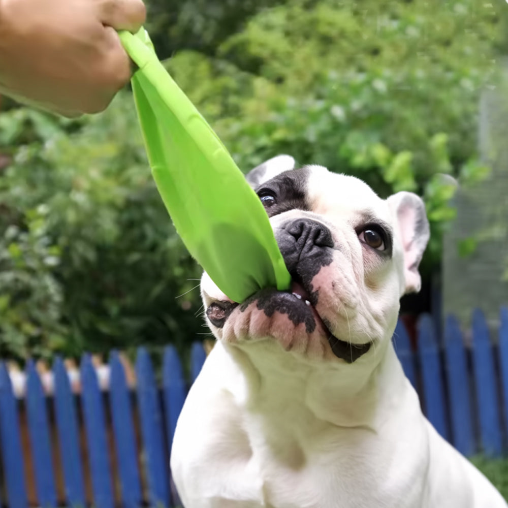Frenchie Bite-Resistant Plush Play Toy for Outdoor Adventures-fadou