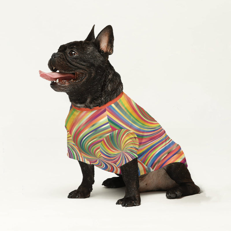 Dallas French Bulldog Warm Knitwear for Short-Nosed Dogs-fadou