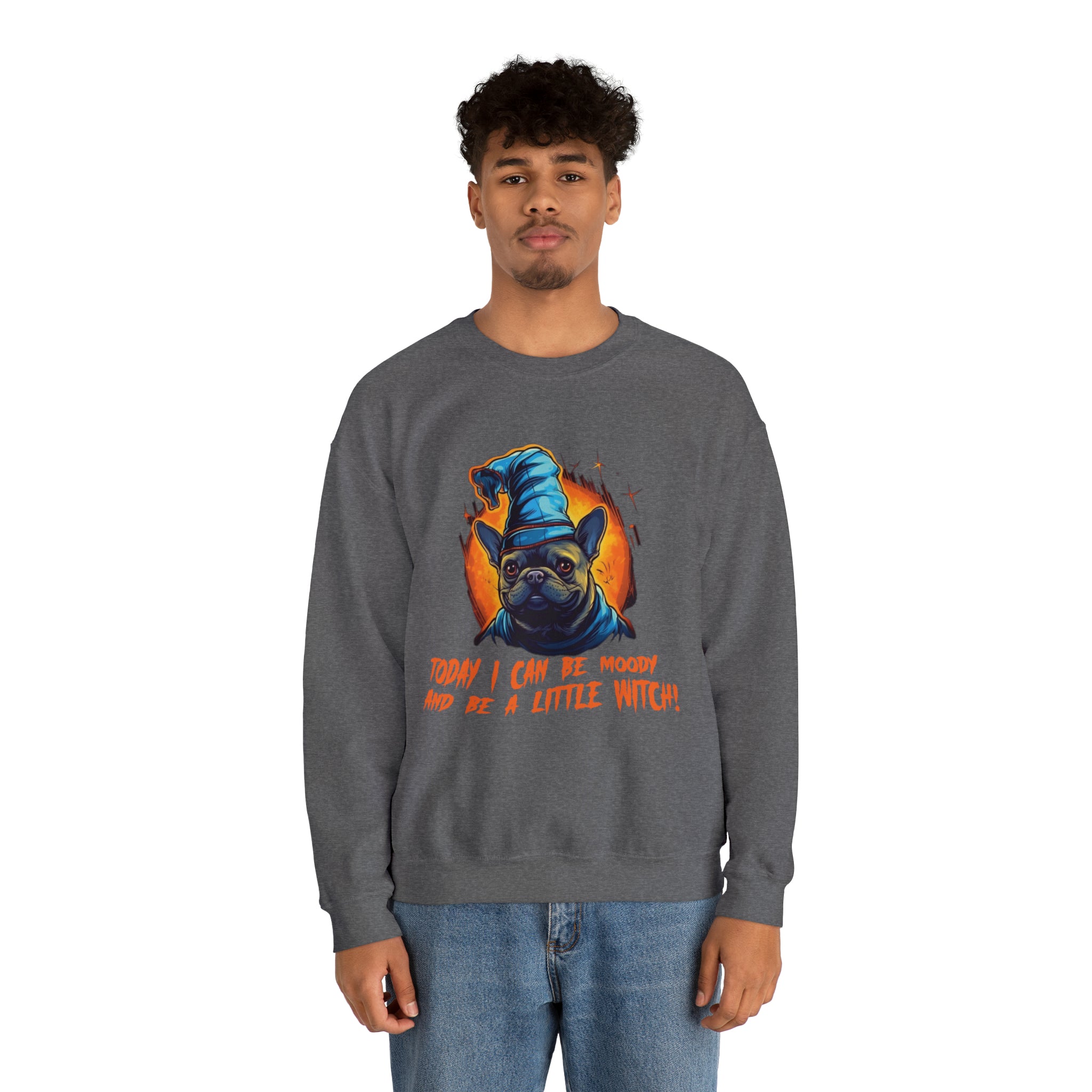 Little Halloween Pet Parent Pullover for Frenchie Enthusiasts-fadou