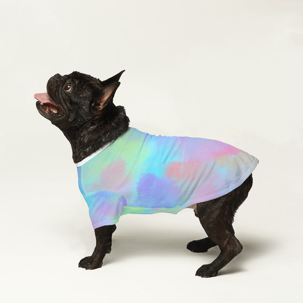 Cruz French Bulldog Knit Sweater for Outdoor Adventures-fadou