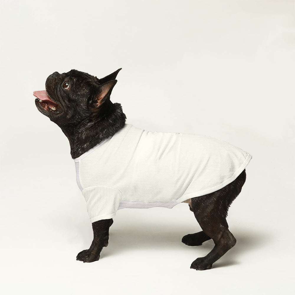Jawa French Bulldog Warm Knitwear for Training Sessions-fadou