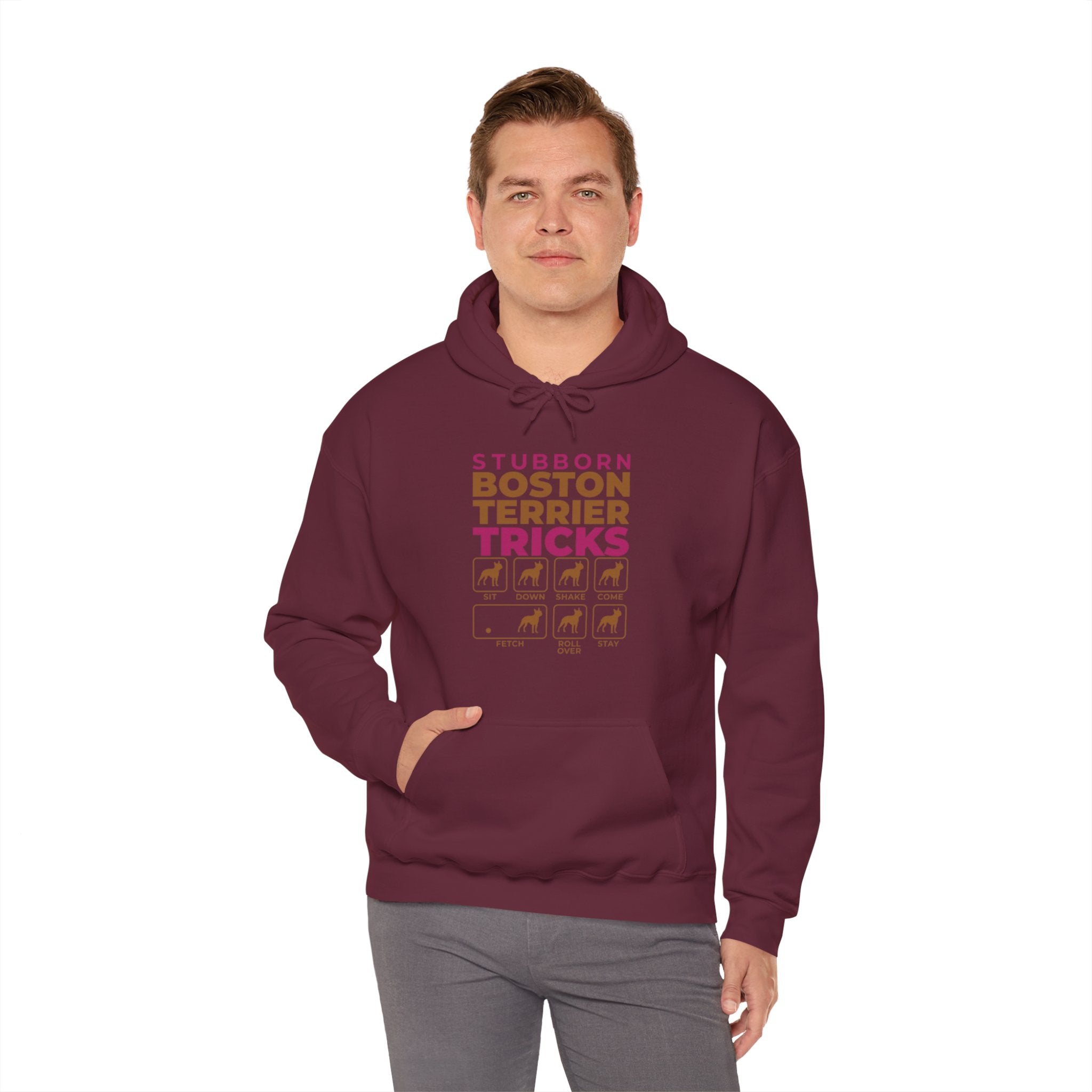 Spielberg Frenchie Pet Parent Pullover for Frenchie Enthusiasts-fadou