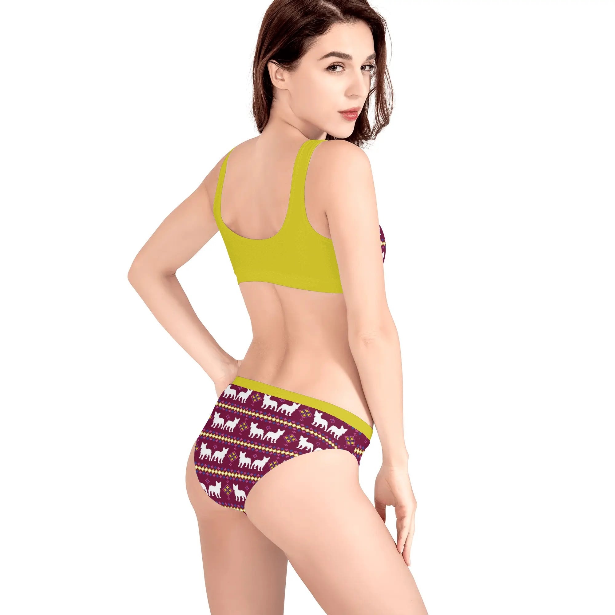 Finn French Bulldog Pool Swimsuit for Frenchie Enthusiasts-fadou